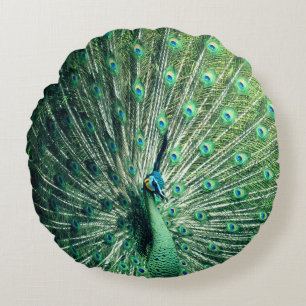 Peacock Strut  Round Pillow