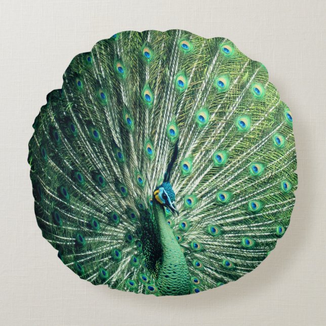 Peacock Strut  Round Pillow (Front)