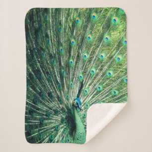 Peacock Strut Sherpa Blanket