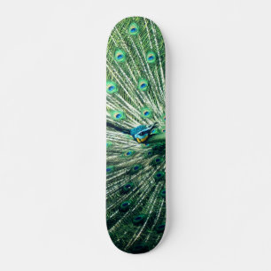Peacock Strut  Skateboard