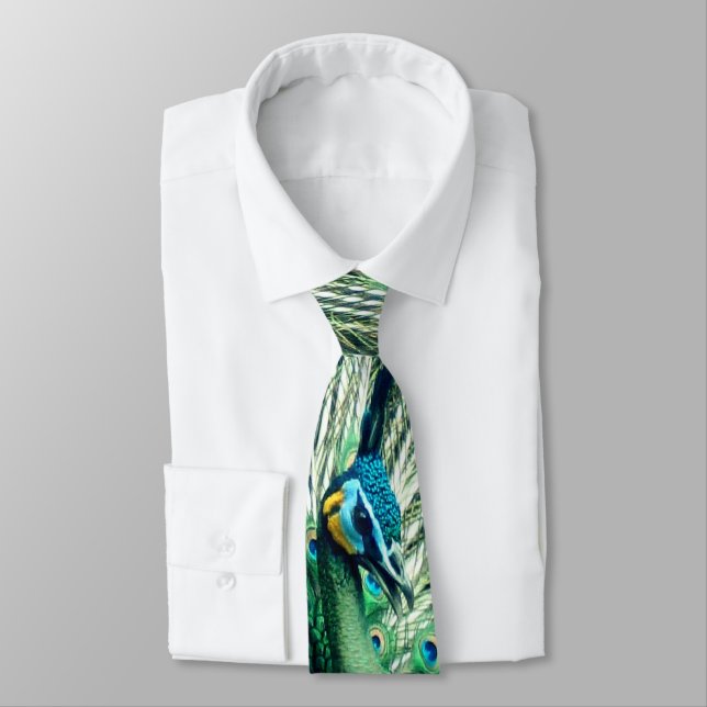 Peacock Strut  Tie (Tied)