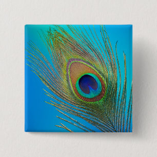 Peacock Tail Feather 2 Inch Square Button
