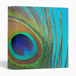 Peacock Tail Feather Binder