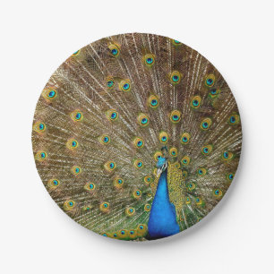 Peacock Tail Feathers Paper Plate