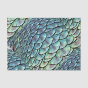 Peacock Tail Feathers Tissue Paper