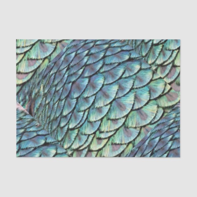 Peacock Tail Feathers Tissue Paper (Front)