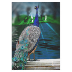 Peacock Tail Tablecloth