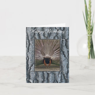 PEACOCK TAIL TREE BARK HAPPY BIRTHDAY CARD