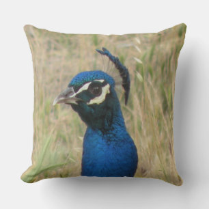 Peacock Throw Pillow