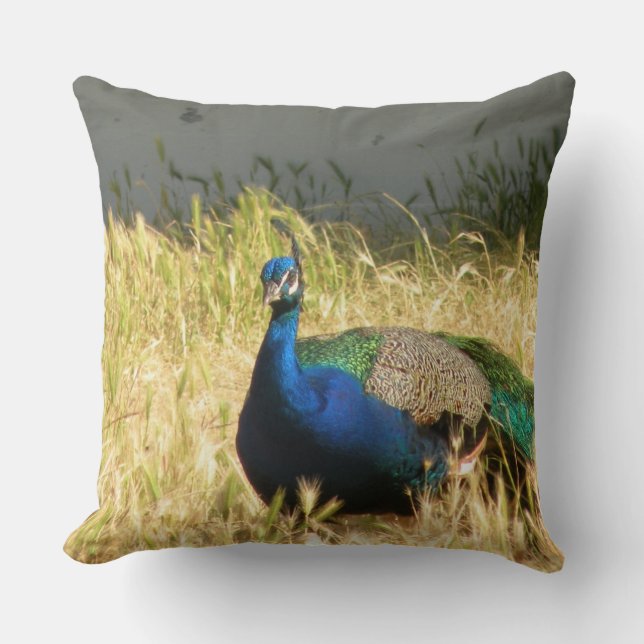 Peacock Throw Pillow (Front)