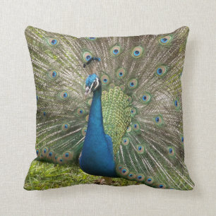 Peacock Throw Pillow