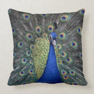 Peacock Throw Pillow