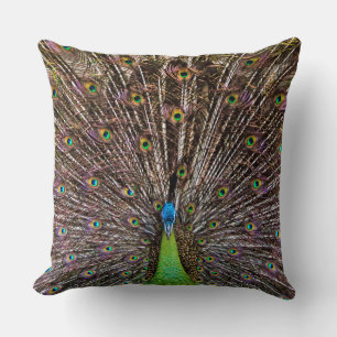 Peacock Throw Pillow
