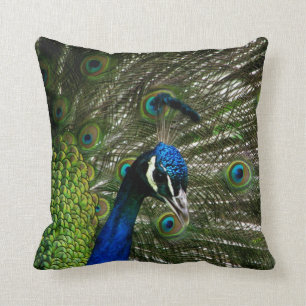 Peacock Throw Pillow