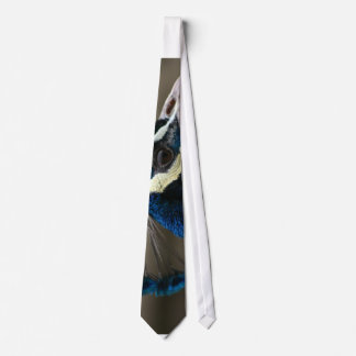 Peacock Tie