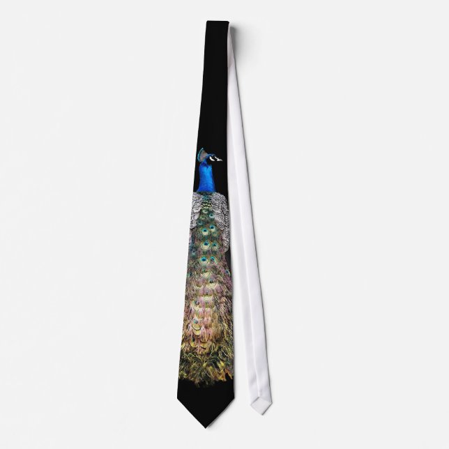 Peacock Tie (Front)