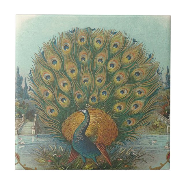 Peacock Tile (Front)
