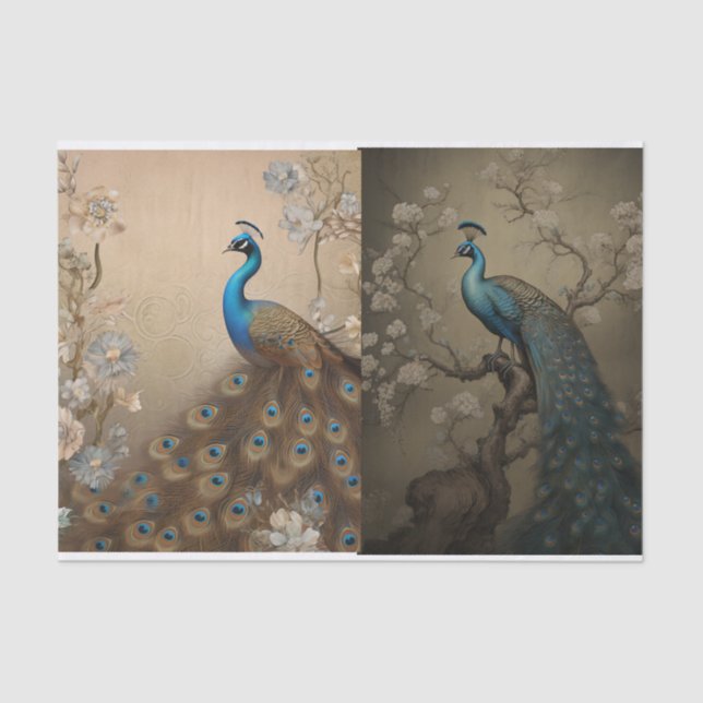 Peacock Tissue Page Paper (Front)