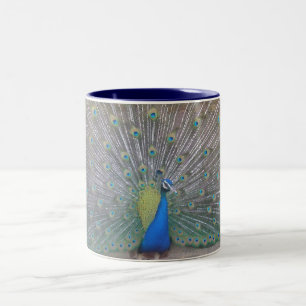 Peacock Two-Tone Coffee Mug