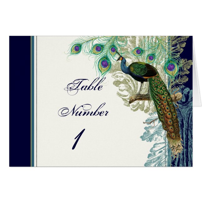 Peacock vintage, Feathings in Etchings - Invitatio (Devant Horizontal)