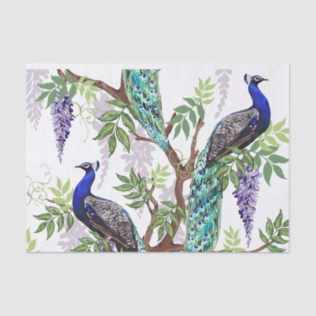 Peacock Wedding 10'x15" Tissue Paper (Front)