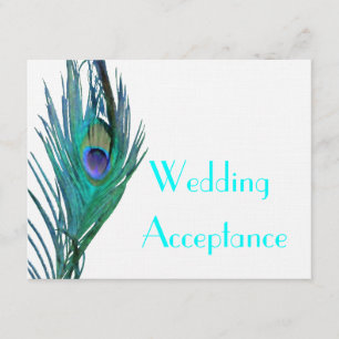 Peacock Wedding Response #2