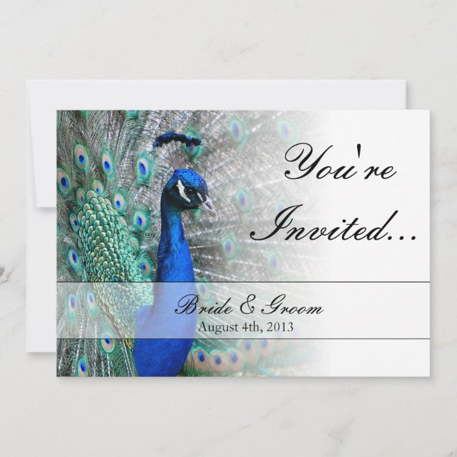 Peacock Wedding Theme 1 (Blue) Invitation (Front)
