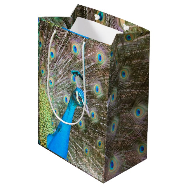 Peacock with Feathers Fanned Out - Wildlife Photo Medium Gift Bag (Back Angled)