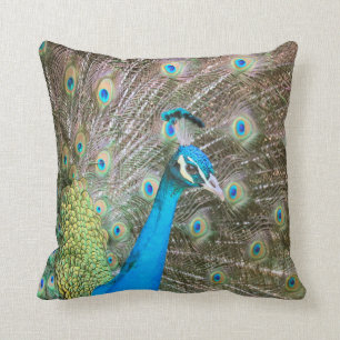 Peacock with His Feathers Fanned - Blue Green Throw Pillow