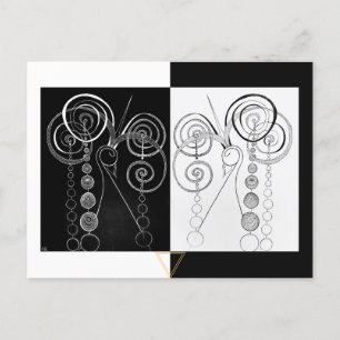 Peacock Yin and Yang DUET illustration Postcard