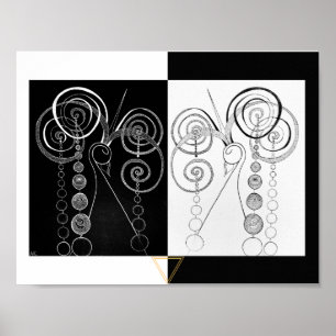 Peacock Yin and Yang DUET illustration Poster