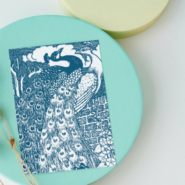 Peacocks (Créateur téléchargé)