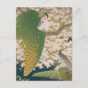 Peacocks and Cherry Tree (1925) Postcard