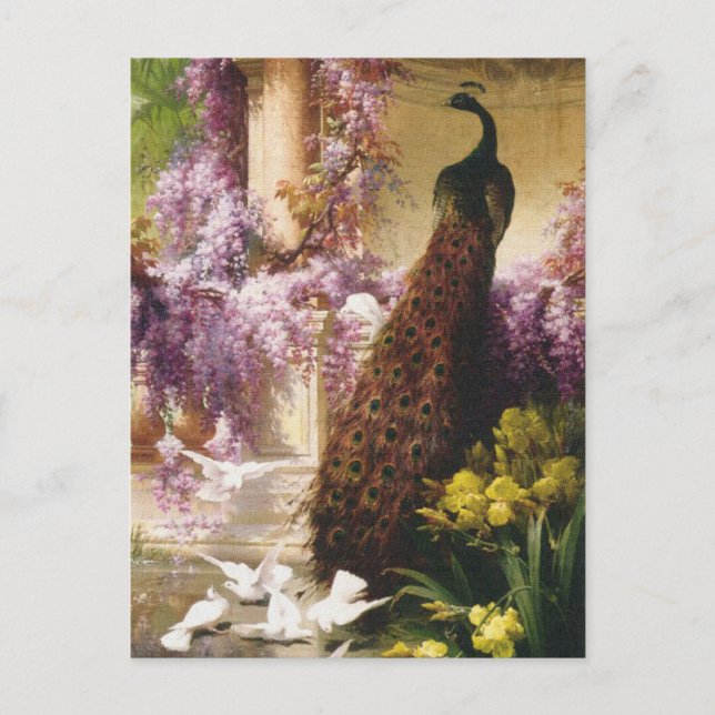 Peacocks and Doves Postcard (Front)