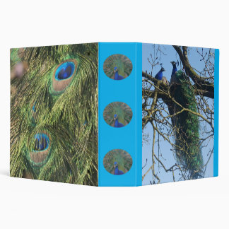 Peacocks and Feathers Binder
