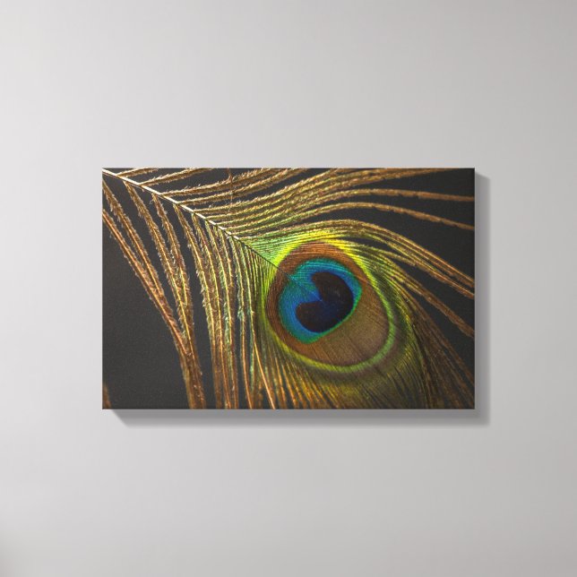 Peacock's eye canvas print (Front)