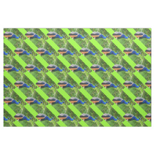 Peacocks Fabric