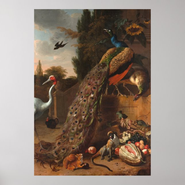 Peacocks Poster (Front)