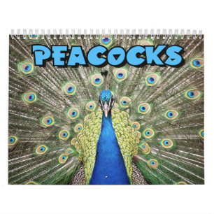 Peacocks Wall Calendar