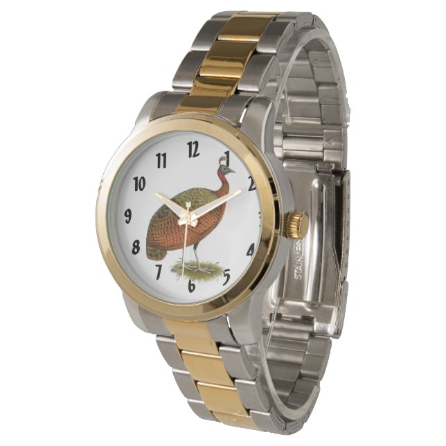 Peafowl:  Congo Peahen Watch (Angled)