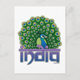 Peafowl of India Postcard