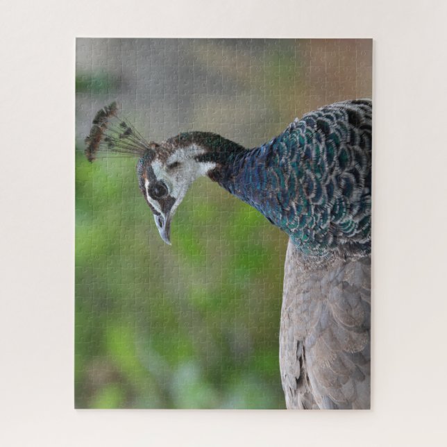 Peafowl puzzle (Vertical)