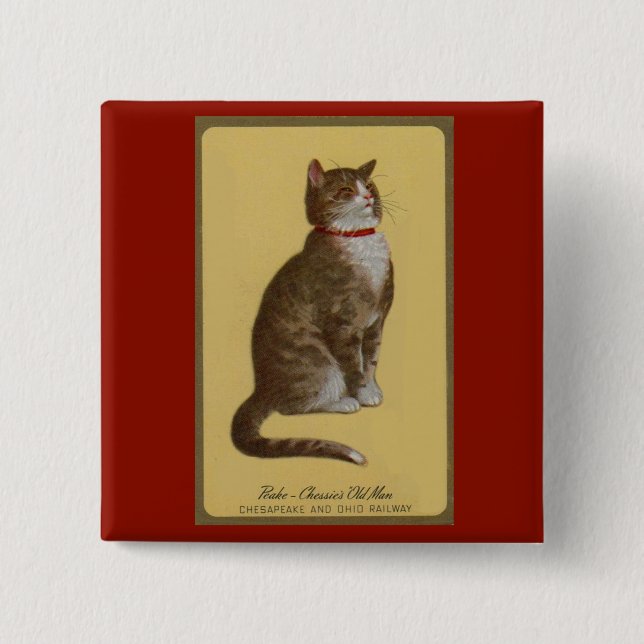 Peake, Chessie’s Old Man tomcat tabby cat 2 Inch Square Button (Front)