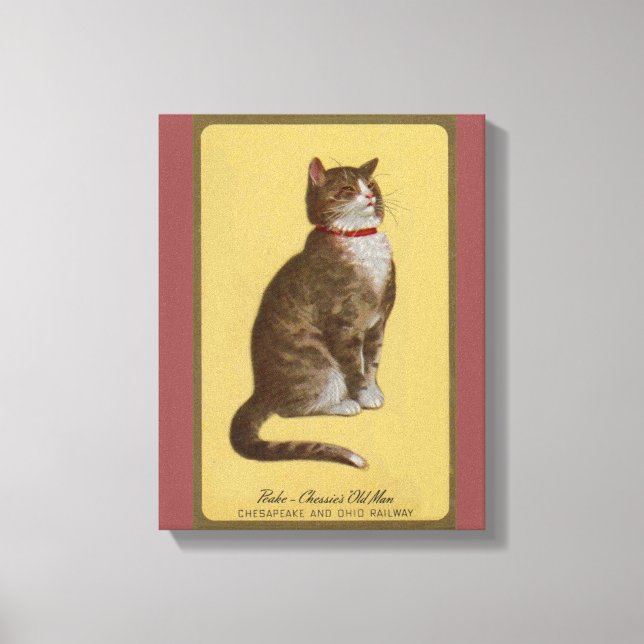 Peake, Chessie’s Old Man tomcat tabby cat Canvas Print (Front)