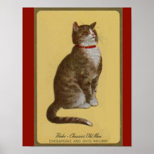 Peake, Chessie’s Old Man tomcat tabby cat Poster