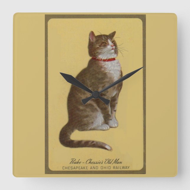 Peake, Chessie’s Old Man tomcat tabby cat Square Wall Clock (Front)