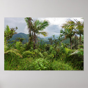Peaks and valleys of el yunque poster