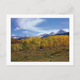 "Peaks-In-View" Postcard