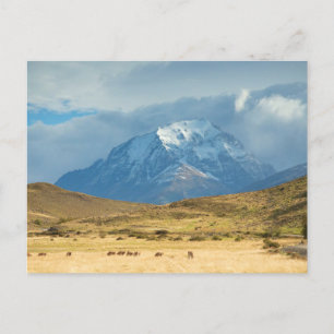 Peaks of Mountains in Torres del Plains Postcard