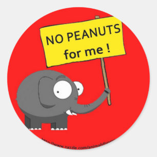 Peanut Allergy Classic Round Sticker